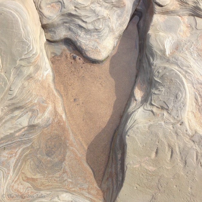 IMG_7683 - THTT signed