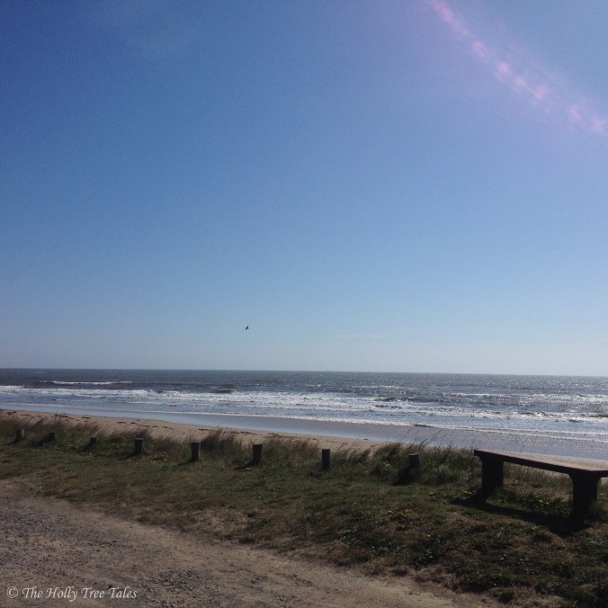 IMG_8182 - THTT signed