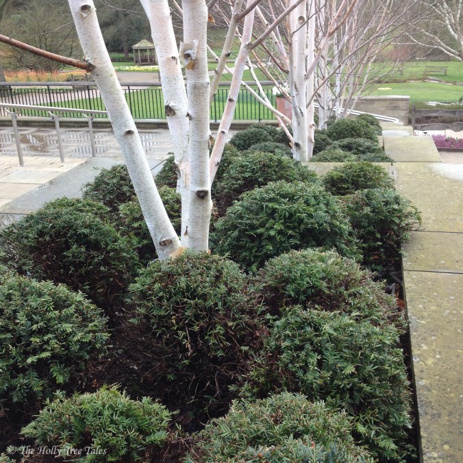 IMG_7064 - THTT signed