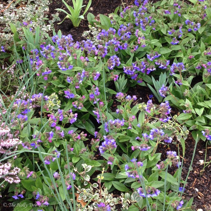 IMG_7084 - THTT signed