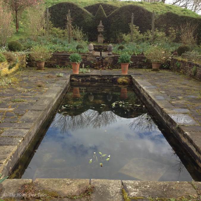 IMG_7130 - THTT signed