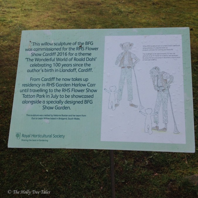 IMG_7143 - THTT signed