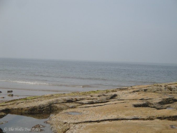 DSC04027- THTT signed