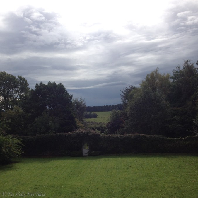 IMG_4213 - THTT signed