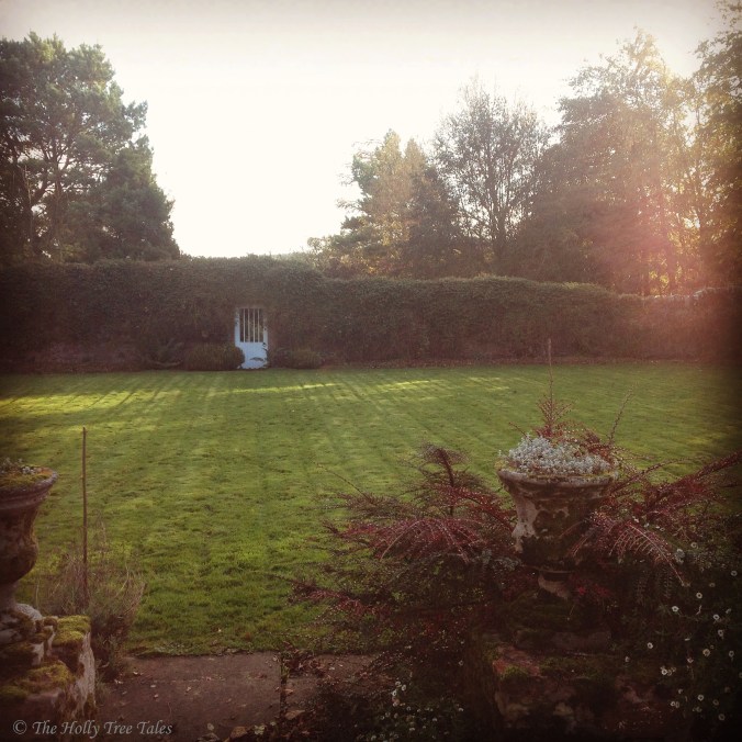 IMG_4907 - THTT signed