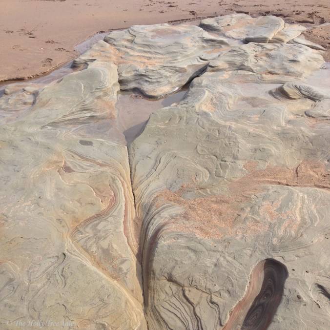 IMG_7679 - THTT signed