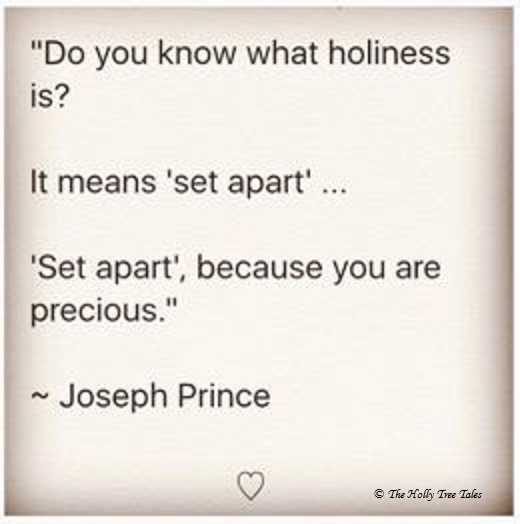 Do you know what Holiness is - Joseph Prince Quote - Holly iphone - 11 November 2017 - THTT signed
