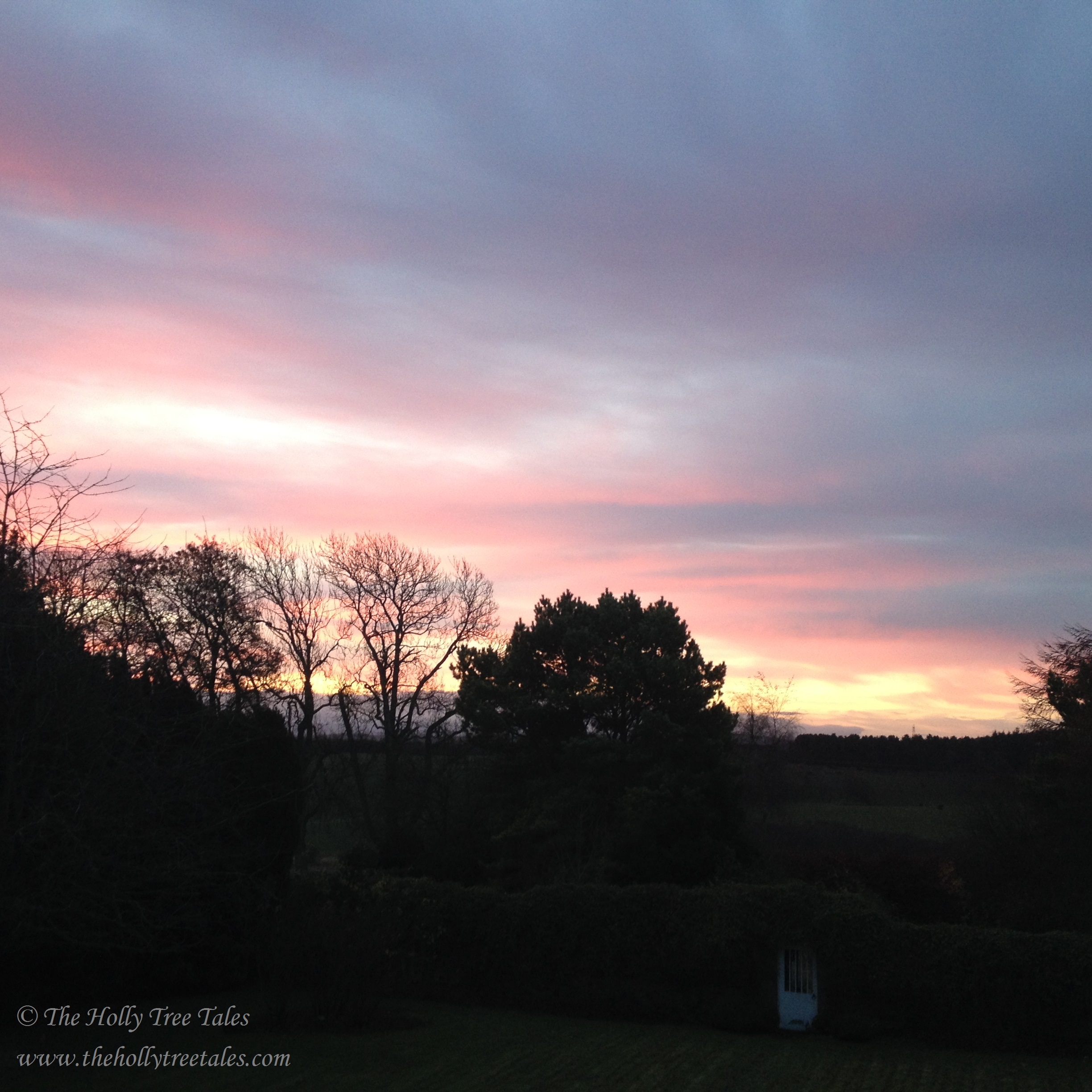 IMG_5446- THTT signed