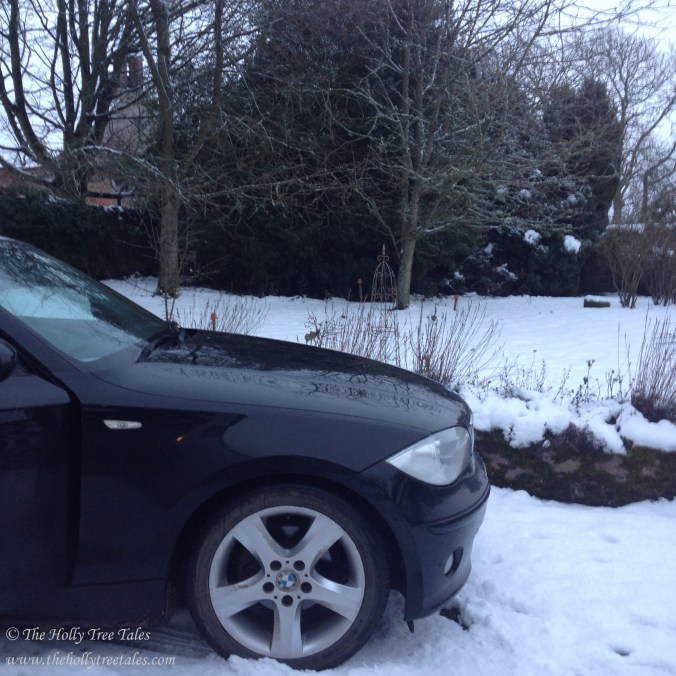 IMG_7151 - THTT signed