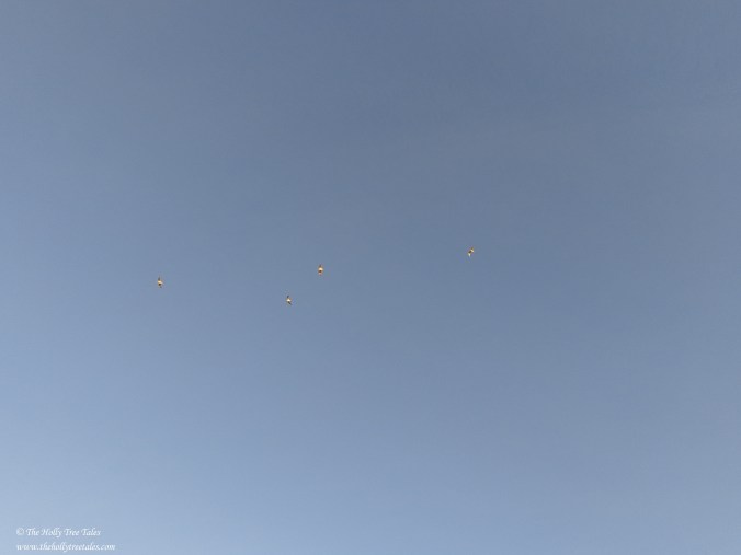 DSC01049 - THTT signed