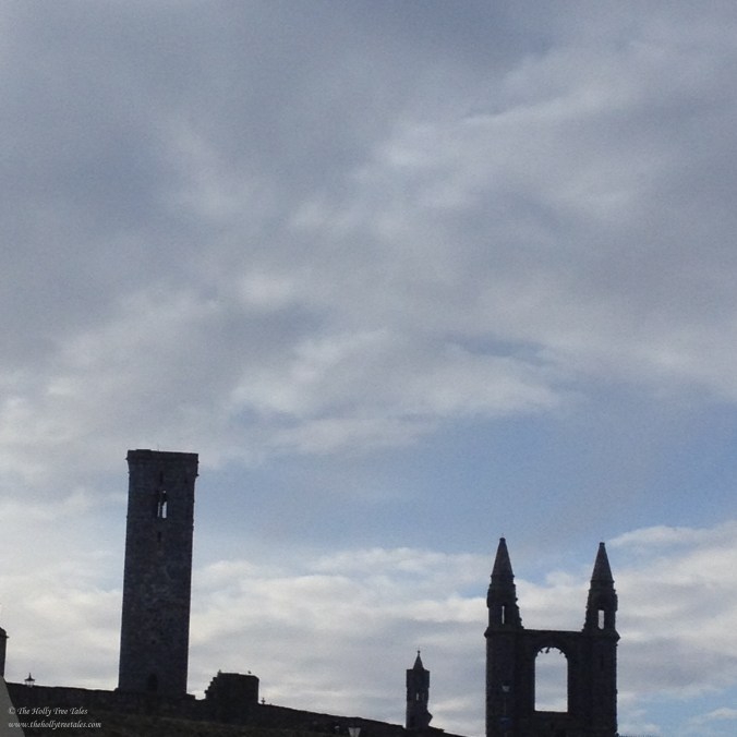 IMG_7641 - THTT signed