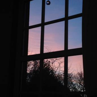 Monday 11 February 2019. Legerwood. Pink + Blue Morning. Light.