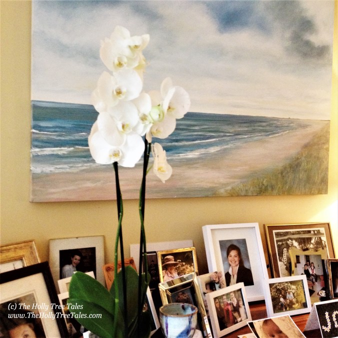 Home. Hygge. Life As Art. Calm. Interiors. (c) Holly M Maxwell Boydell - www.TheHollyTreeTales.com