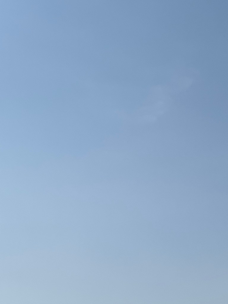 A clear blue sky. (c) Holly Maxwell Boydell www.TheHollyTreeTales.com