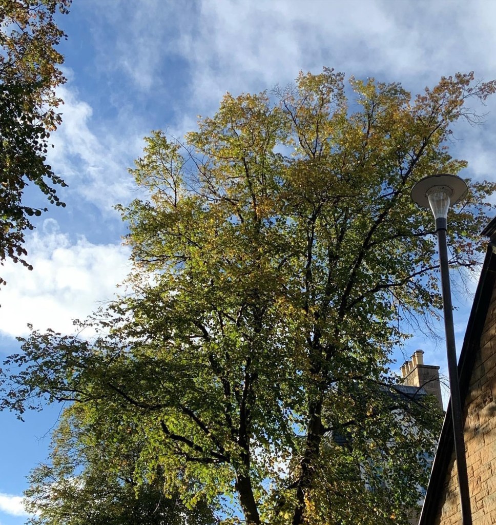 Autumn Begins.  Image (c) Holly M Boydell www.TheHollyTreeTales.com